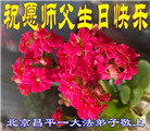 北京大法弟子恭贺世界法轮大法日暨师尊华诞(21条)