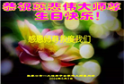 张家口大法弟子恭贺世界法轮大法日暨师尊华诞(20条)