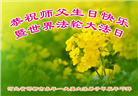 河北大法弟子恭贺世界法轮大法日暨师尊华诞(24条)