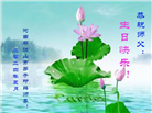 河南大法弟子恭贺世界法轮大法日暨师尊华诞(24条)