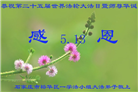 石家庄大法弟子恭贺世界法轮大法日暨师尊华诞(22条)