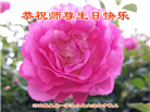 秦皇岛大法弟子恭贺世界法轮大法日暨师尊华诞(18条)