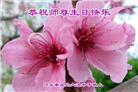 秦皇岛大法弟子恭贺世界法轮大法日暨师尊华诞(18条)