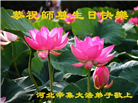 石家庄大法弟子恭贺世界法轮大法日暨师尊华诞(22条)
