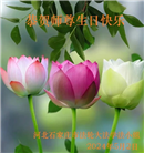 石家庄大法弟子恭贺世界法轮大法日暨师尊华诞(29条)