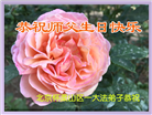北京大法弟子恭贺世界法轮大法日暨师尊华诞(23条)