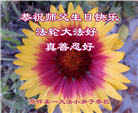 大法小弟子恭贺世界法轮大法日暨师尊华诞(19条)