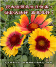 北京大法弟子恭贺世界法轮大法日暨师尊华诞(18条)