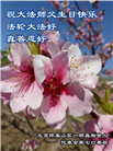 北京大法弟子恭贺世界法轮大法日暨师尊华诞(18条)