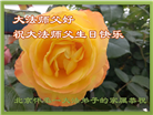北京大法弟子恭贺世界法轮大法日暨师尊华诞(23条)