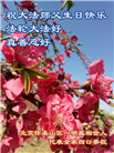 北京大法弟子恭贺世界法轮大法日暨师尊华诞(23条)