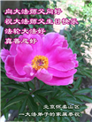 北京大法弟子恭贺世界法轮大法日暨师尊华诞(23条)