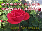 北京大法弟子恭贺世界法轮大法日暨师尊华诞(23条)