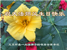 北京大法弟子恭贺世界法轮大法日暨师尊华诞(23条)