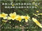 北京大法弟子恭贺世界法轮大法日暨师尊华诞(18条)