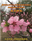 北京大法弟子恭贺世界法轮大法日暨师尊华诞(18条)