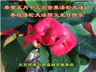 北京大法弟子恭贺世界法轮大法日暨师尊华诞(18条)