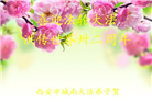 西安大法弟子恭贺世界法轮大法日暨师尊华诞(18条)