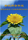 甘肃大法弟子恭贺世界法轮大法日暨师尊华诞(21条)