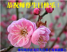 秦皇岛大法弟子恭贺世界法轮大法日暨师尊华诞(19条)