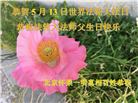 北京大法弟子恭贺世界法轮大法日暨师尊华诞(23条)