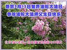 北京大法弟子恭贺世界法轮大法日暨师尊华诞(18条)