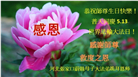 张家口大法弟子恭贺世界法轮大法日暨师尊华诞(21条)
