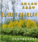 河北大法弟子恭贺世界法轮大法日暨师尊华诞(25条)