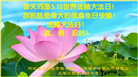 石家庄大法弟子恭贺世界法轮大法日暨师尊华诞(29条)