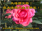 中国百姓祝贺世界法轮大法日　恭贺李大师华诞