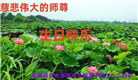 教育系统大法弟子恭贺世界法轮大法日暨师尊华诞(18条)