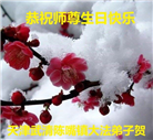 天津大法弟子恭贺世界法轮大法日暨师尊华诞(22条)