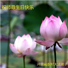 乡村大法弟子恭贺世界法轮大法日暨师尊华诞(27条)
