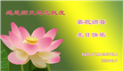秦皇岛大法弟子恭贺世界法轮大法日暨师尊华诞(20条)