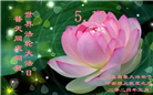 河北大法弟子恭贺世界法轮大法日暨师尊华诞(24条)