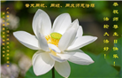 广州大法弟子恭贺世界法轮大法日暨师尊华诞(21条)