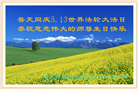 保定大法弟子恭贺世界法轮大法日暨师尊华诞(25条)