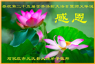 石家庄大法弟子恭贺世界法轮大法日暨师尊华诞(24条)