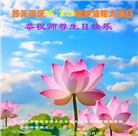 保定大法弟子恭贺世界法轮大法日暨师尊华诞(21条)