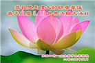 张家口大法弟子恭贺世界法轮大法日暨师尊华诞(21条)