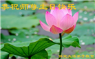 保定大法弟子恭贺世界法轮大法日暨师尊华诞(21条)