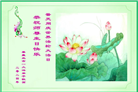 秦皇岛大法弟子恭贺世界法轮大法日暨师尊华诞(20条)