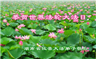 湖南大法弟子恭贺世界法轮大法日暨师尊华诞(21条)
