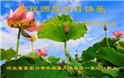 张家口大法弟子恭贺世界法轮大法日暨师尊华诞(18条)