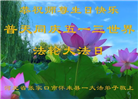 张家口大法弟子恭贺世界法轮大法日暨师尊华诞(18条)