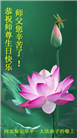 保定大法弟子恭贺世界法轮大法日暨师尊华诞(21条)