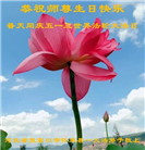 张家口大法弟子恭贺世界法轮大法日暨师尊华诞(18条)