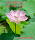 保定大法弟子恭贺世界法轮大法日暨师尊华诞(21条)