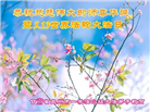 甘肃大法弟子庆祝世界法轮大法日(18条)
