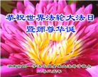 湖南大法弟子庆祝世界法轮大法日(18条)